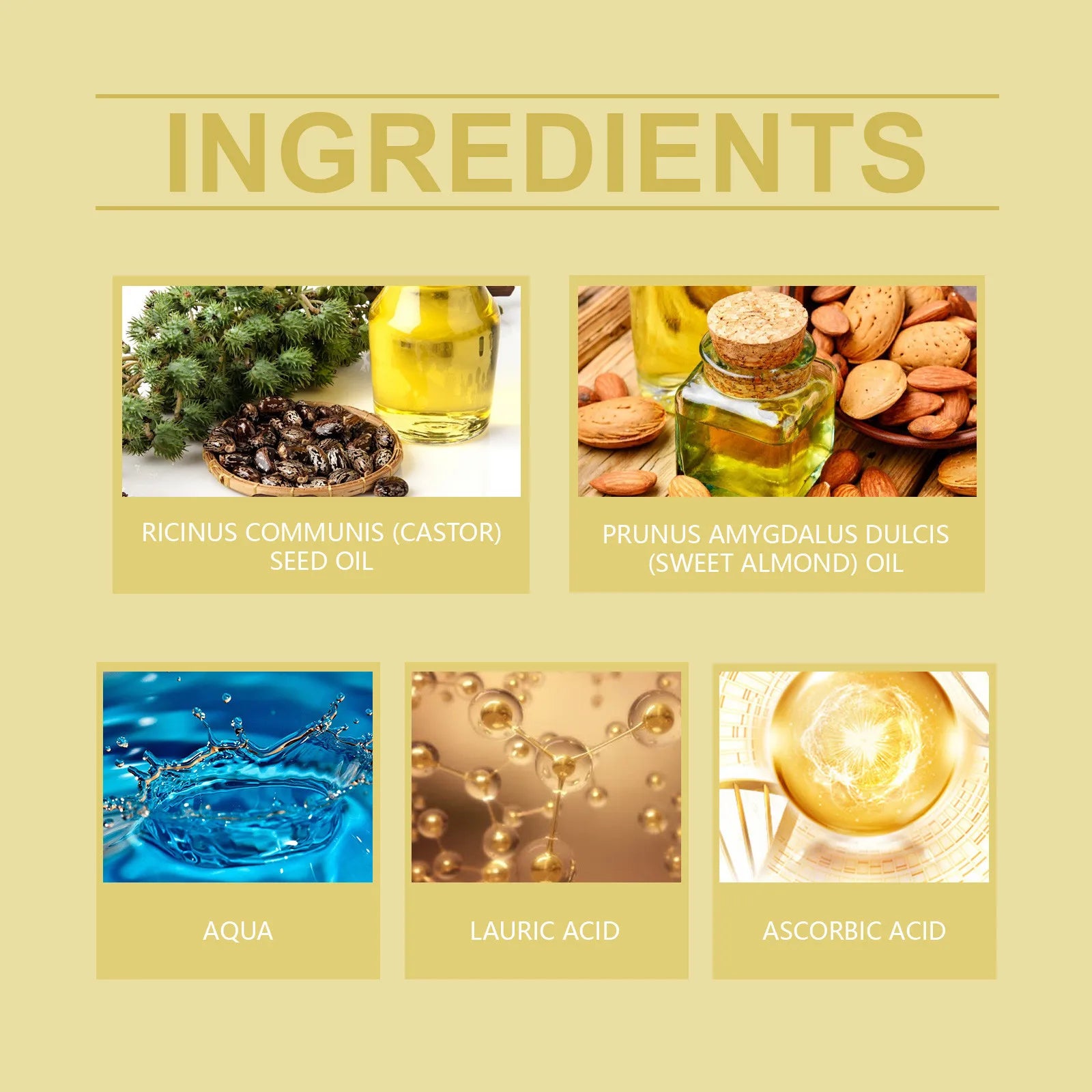 Sca0aa244d423471989081534425cdce72